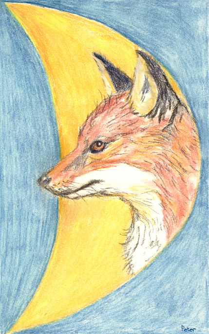 Moon Fox by Glandarius